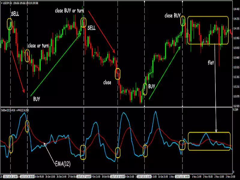 Standard-Deviation-Expert